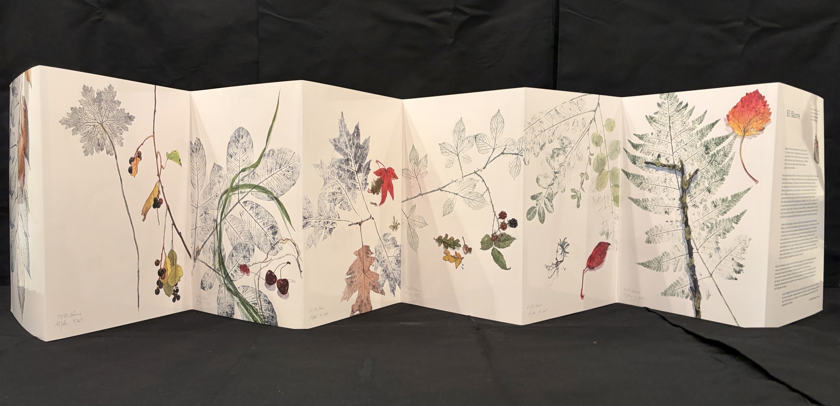 R�ckseite des Leporellos