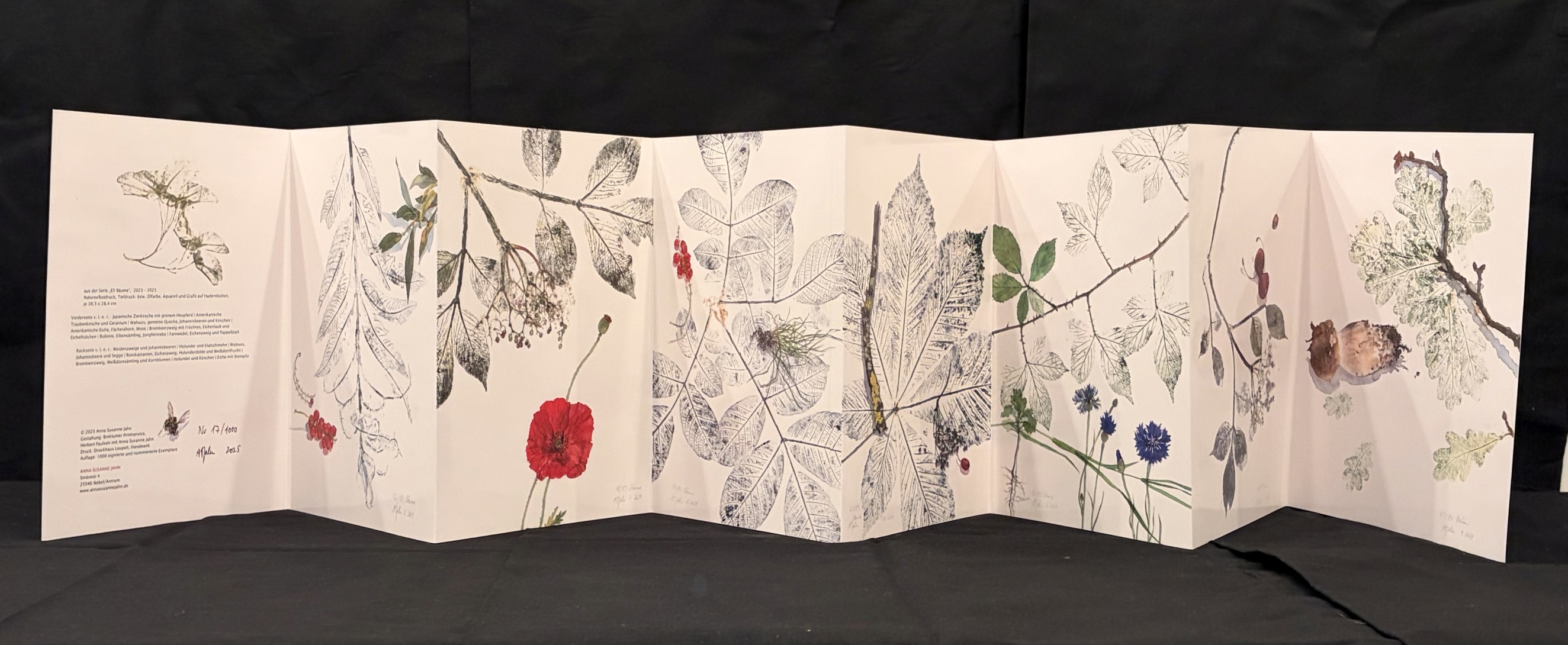 Vorderseite des Leporellos