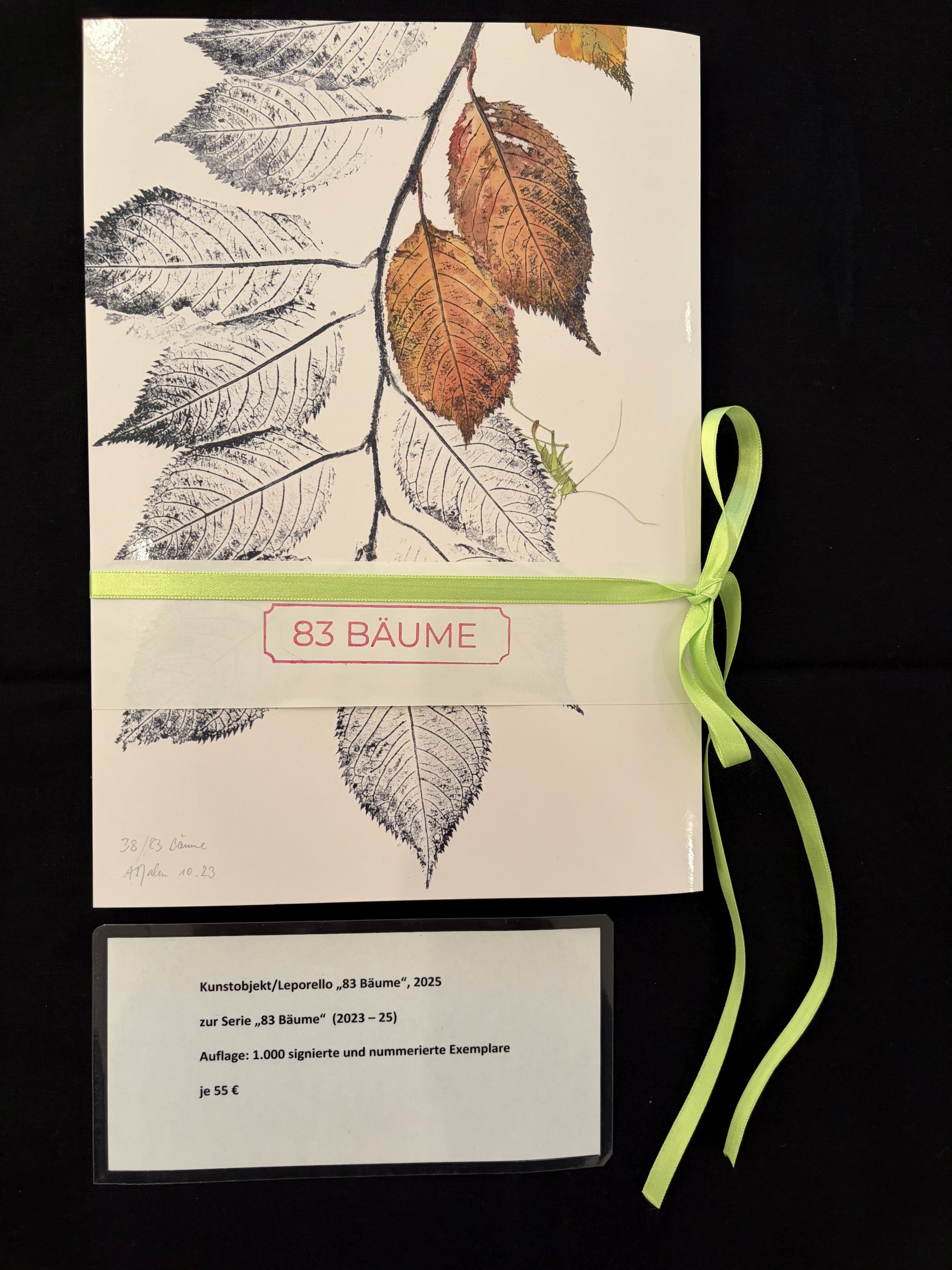 Leporello im Offsetverfahren auf stabilem Karton (350 g/ qm)